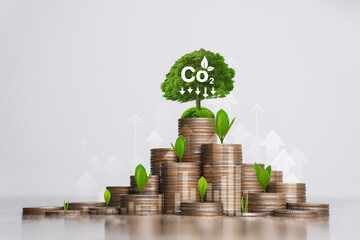 concept of carbon credit reducing carbon emissions Zero net greenhouse gas emissions target Carbon credits to invest in sustainable businesses green climate investment