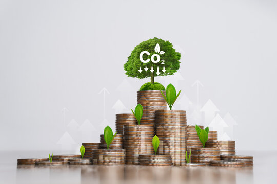concept of carbon credit reducing carbon emissions Zero net greenhouse gas emissions target Carbon credits to invest in sustainable businesses green climate investment