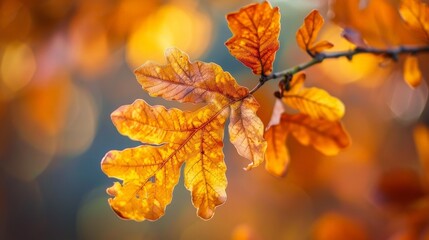 Obraz premium Autumn arrives on a whisper of cool breeze, painting the world in hues of amber and gold.