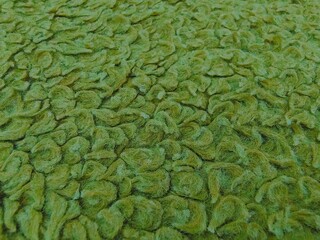 Obraz premium Green olive color Carpet rug mat textured pattern wallpaper, Green grainy woolen thread rug carpet fabric cloth textile design