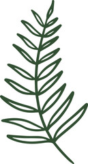 Handdrawn Fern illustration