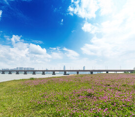 flower field in park at city center and modern city