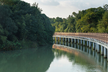 Fototapeta premium bridge over little river in city park