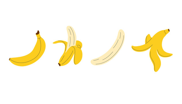 Banana fruit set. Hand drawn collection with bananas. Whole banana, half opened peel, only peel and peeled banana