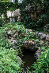 Chinese traditional stone garden. Green plants and rocks
