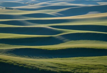 Fototapeta premium picturesque grassy