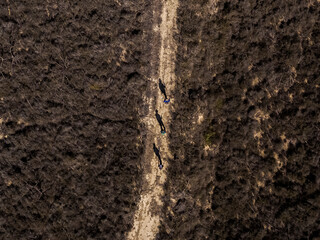 Aerial view of the Mamellones mountain, in the Región of Murcia, Spain
