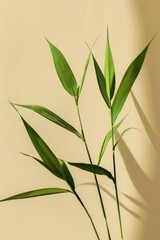 Obraz premium A leafy green plant with a shadow on a tan wall. The shadow is long and thin, and the plant is tall and slender. Concept of calm and serenity, as the plant
