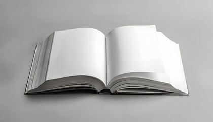mockup book