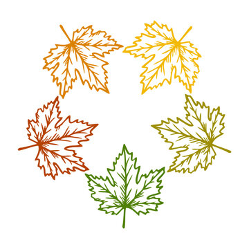 Logo con hojas de arce con l&iacute;nea exterior en paleta de gradiente de colores con forma de estrella o asterisco. Cambio de temporada de oto&ntilde;o