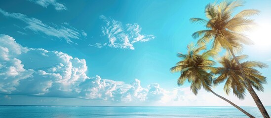 Perfect palm trees against a beautiful blue sky with copy space image.
