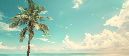 Tropical beach with a palm tree against a blue sky and white clouds creates a serene copy space image evoking summer vacations and business travel, in a vintage color tone filter style.