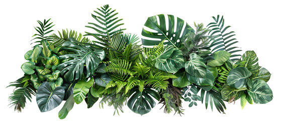 Assorted Tropical Green Leaves on White Surface