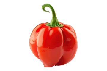 Scotch bonnet chili isolated on transparent background