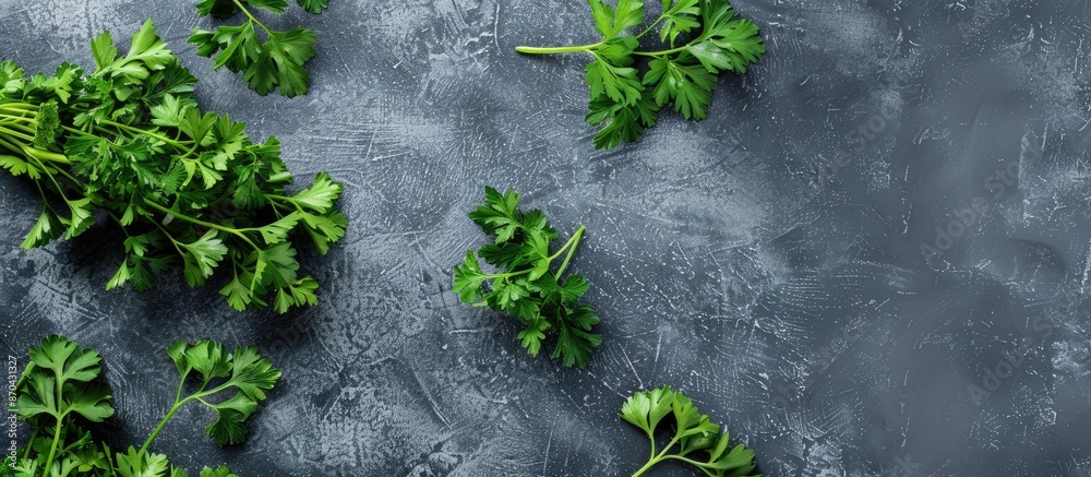 Poster Top view of fresh green parsley arranged on a grey table with room for text near the herbs in the copy space image.