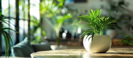 Artificial potted plant in a dazzling shade of green decorating a dining table, with space for copying an image.