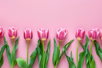 Fototapeta premium Flowers. Tulip bouquet on pastel pink background. Valentine's Day, Easter, Birthday, Mother's Day, Happy Women's Day, Mother's Day. Flat lay, top view, copy space.