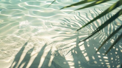 A calming scene of gentle ripples on a clear, shallow water surface, with the shadow of palm leaves cast on the right side. The soft light and circular patterns create a peaceful, abstract ambiance