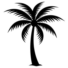 palm tree silhouette