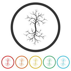  Dead tree icon. Set icons in color circle buttons