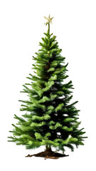 Fototapeta premium christmas tree pngtransparent background christmas tree,