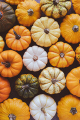 Many colorful mini pumpkins and gourds, view from above. Fall texture for background. Halloween or Thanksgiving celebration.