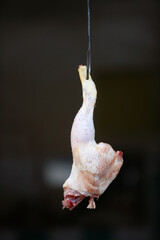 Chicken leg in a butcher's shop. Morocco.