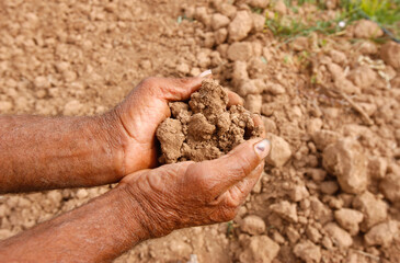 Farmer's hands with the earth from his field. Agriculture. Morocco.