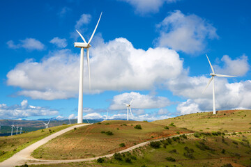 Wind turbine generators for sustainable electricity production