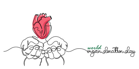World Organ Donation Day with Heart for Transplantation, line art Hand holding human realistic liver, heart, kidneys, lungs. World Organ Donation Day is on the 13th of August. template Design 