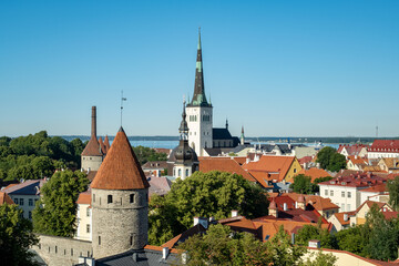 Fototapeta premium Talinn Oldy City Estonia, downtown