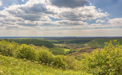 Moorland panorama.