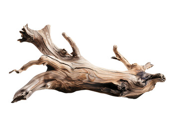 a piece of wood with no background