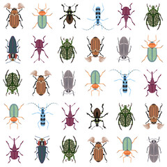 Beetles collection. Vector seamless pattern of various beetles