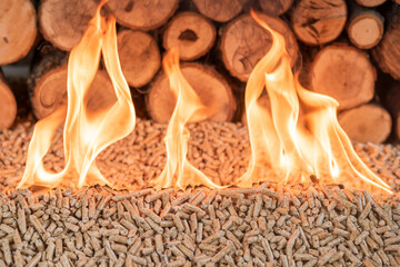 A pile of high quality oak pellets on fire in front of a wall of wood.