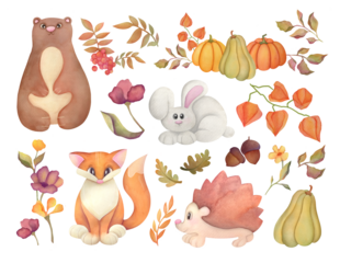 cute watercolor forest stickers with wild animals and autumn leaves, pumpkins. fox, baby bear, rabbit, hedgehog, winter cherry, dry flowers illustrations set isolated on transparent background