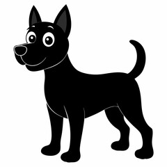 black and white dog