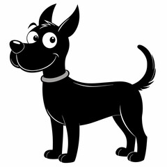 black and white dog