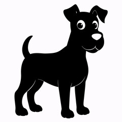 black and white dog