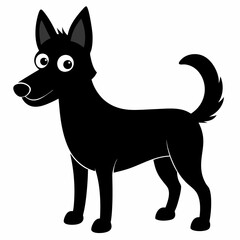 black and white dog