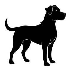 black and white dog