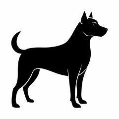 black and white dog