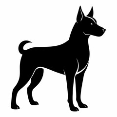 black and white dog