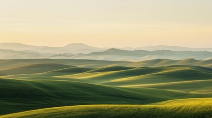 Obraz premium Serene Palouse Hills at Sunrise in Springtime