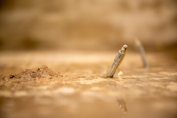 Sealing of surfaces and cracks in floors, walls and cellar floors by injecting polyurethane,  epoxy resins and foam with drill packers with conical head nipples for sealing