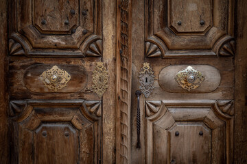 The  wooden and  vintage door