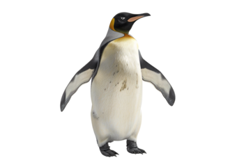 a penguin standing on its hind legs