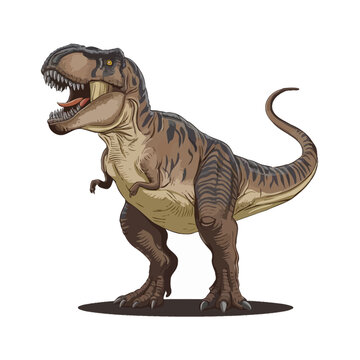 Tyrannosaurus rex or t rex dinosaur isolated on white. Comic style vector
