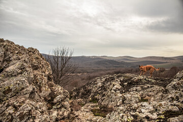 Grota Haiducilor, DN22D 12, Caugagia, Europe, Romania, 2024 year