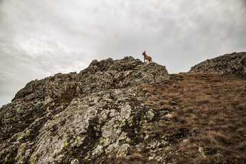 Grota Haiducilor, DN22D 12, Caugagia, Europe, Romania, 2024 year